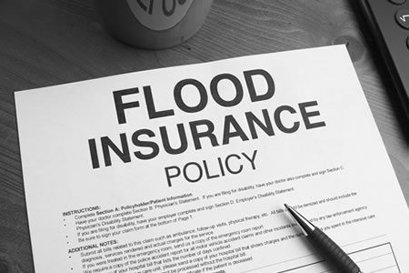 FEMA versus Private Flood Insurance: What Are Your Options?